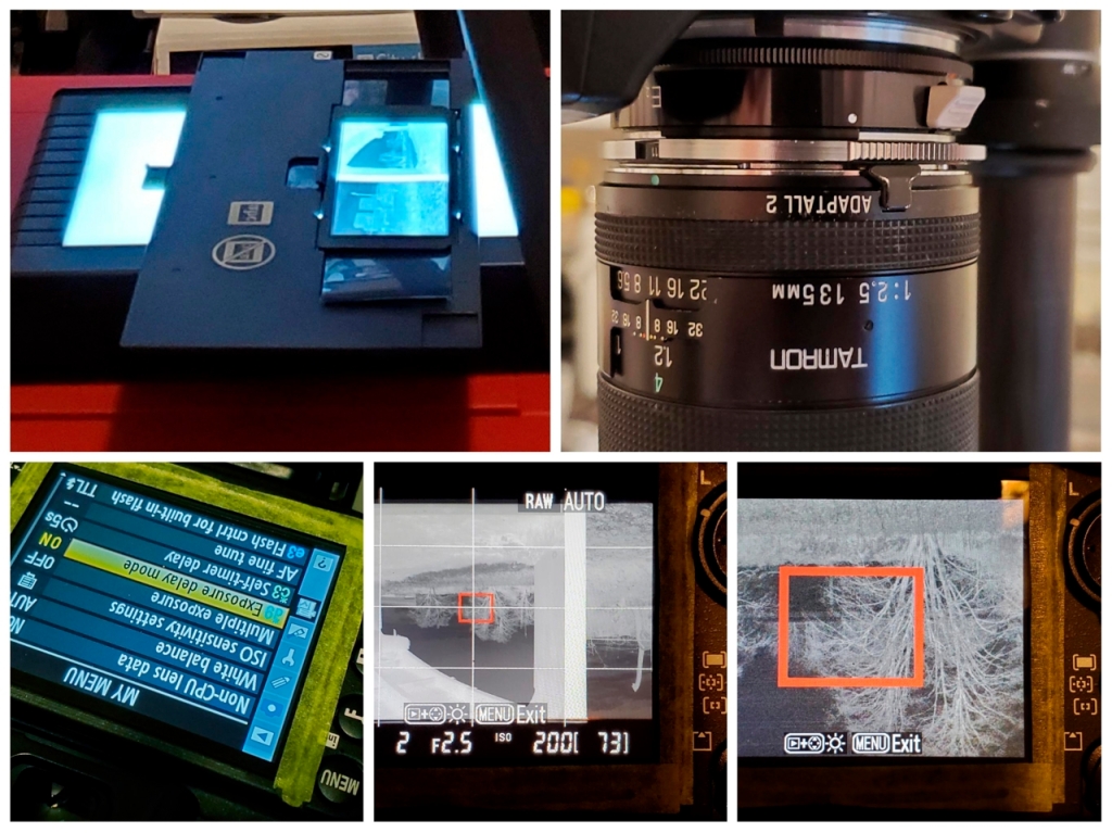 Scanning Films without a Scanner